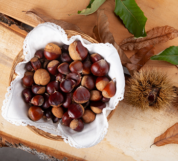 Castanhas, o saboroso fruto do Outono!