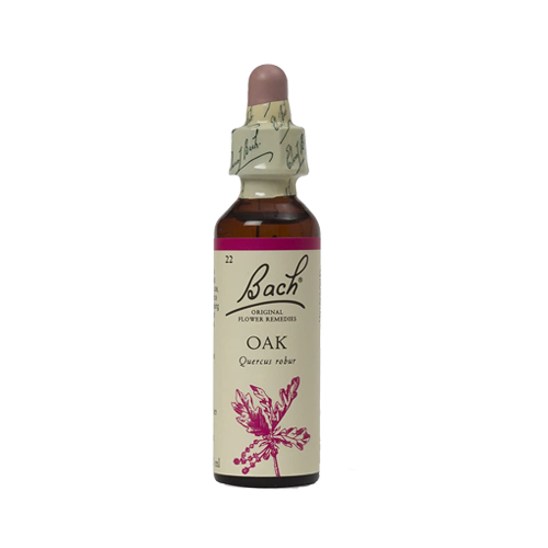 OAK Quercus Robur 20ml Floral Bach