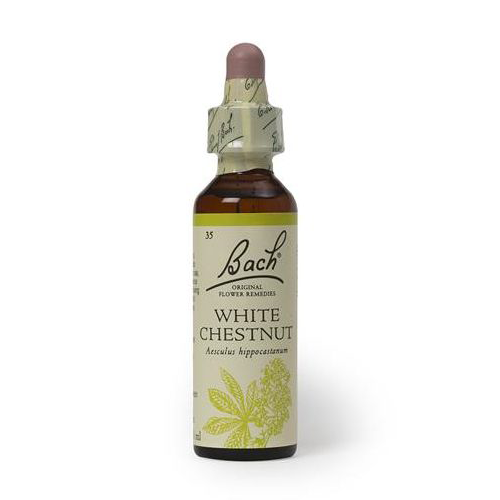 White Chestnut 20ml Floral Bach
