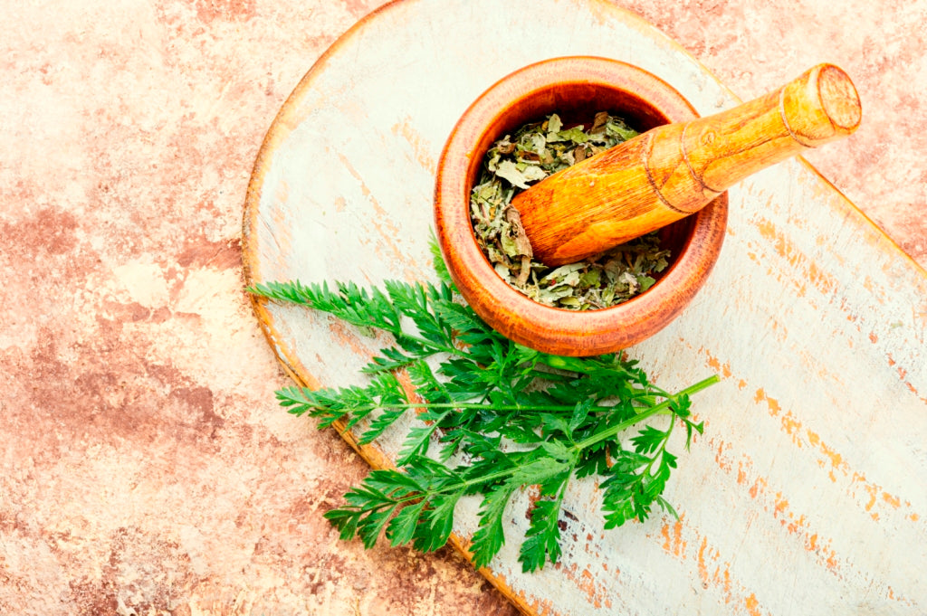 Naturopatia